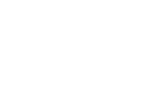 Elite Advisors Collective
